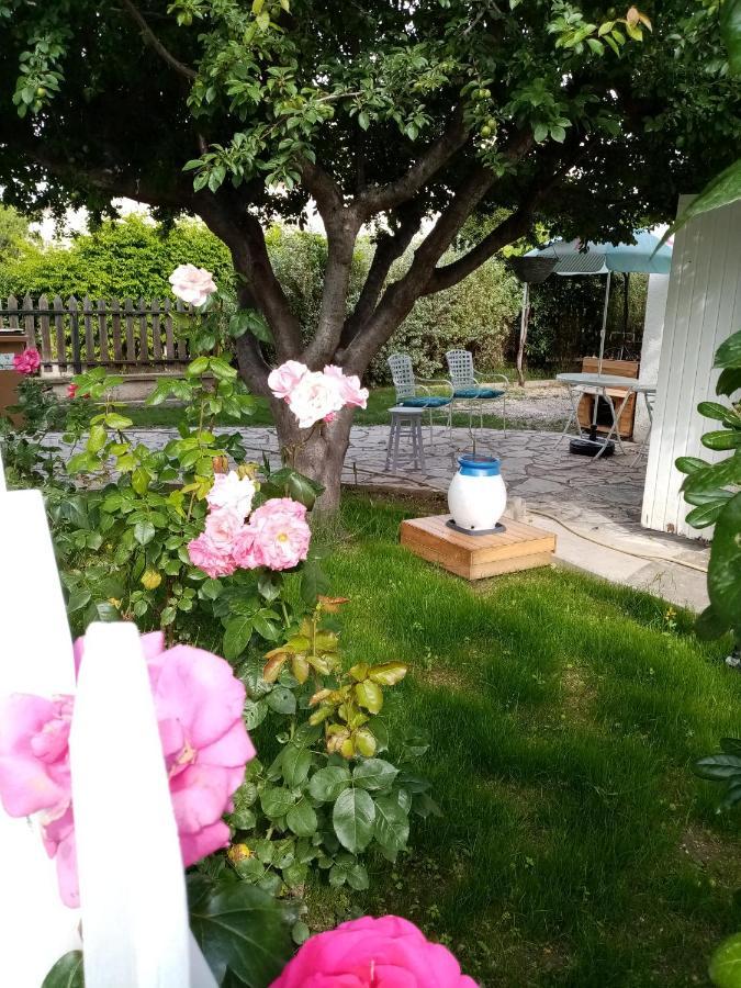 Le Flamant Rose Bed and Breakfast Salin-de-Giraud Exterior foto