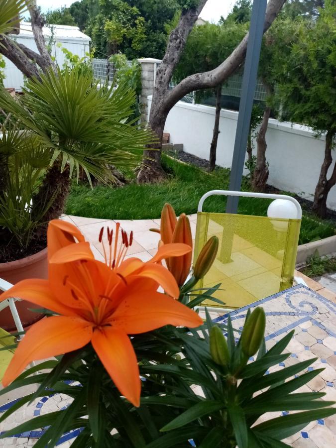 Le Flamant Rose Bed and Breakfast Salin-de-Giraud Exterior foto