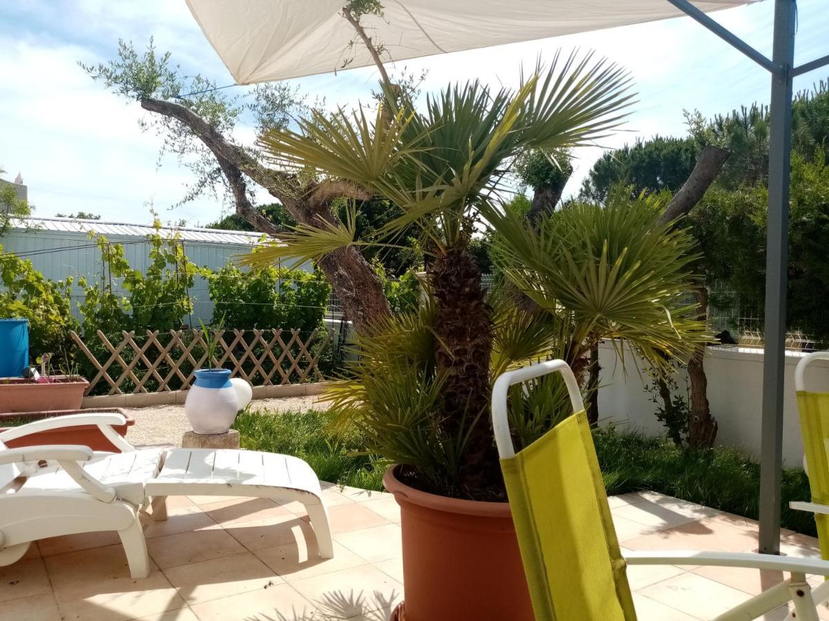 Le Flamant Rose Bed and Breakfast Salin-de-Giraud Exterior foto